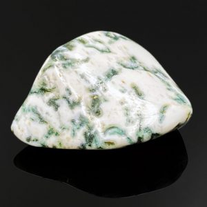 Tree Agate